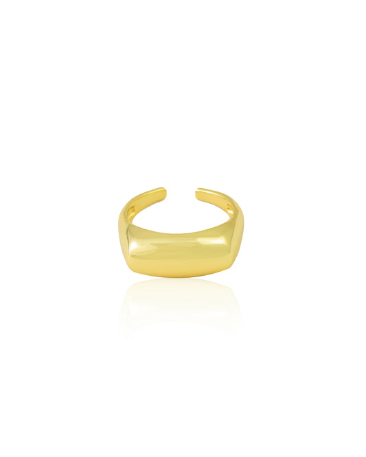 ANILLO BOLD