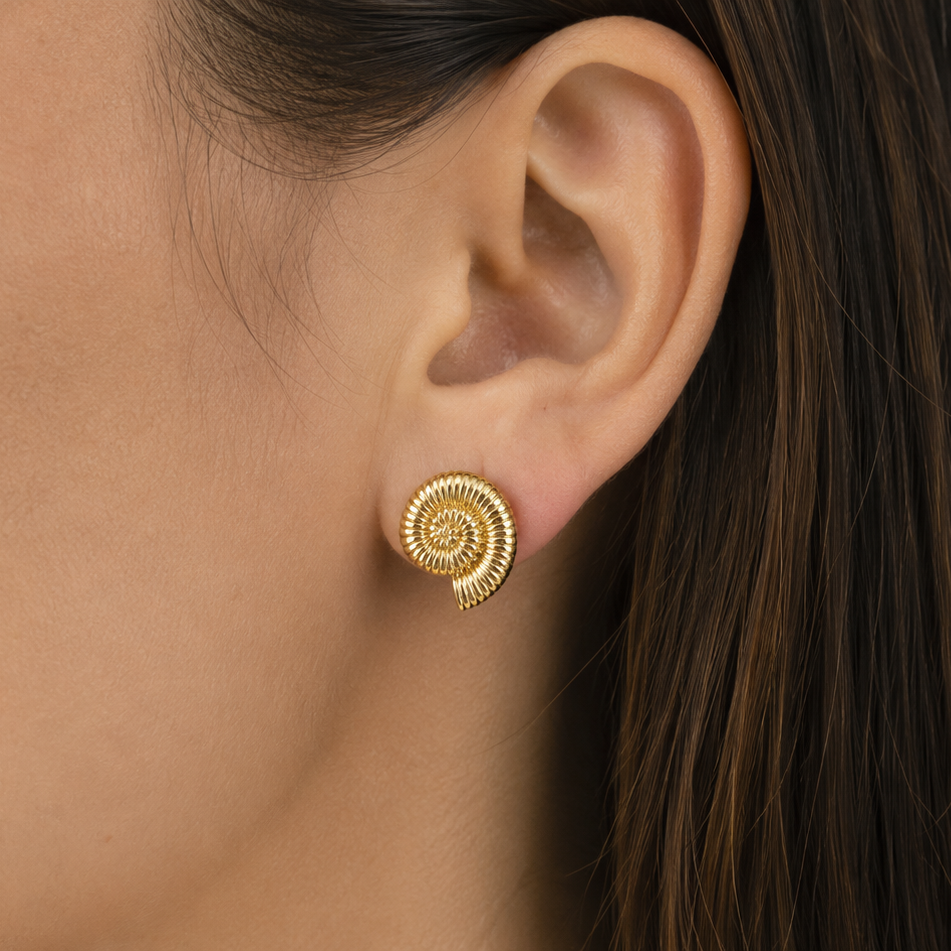 ARETES CARACOL