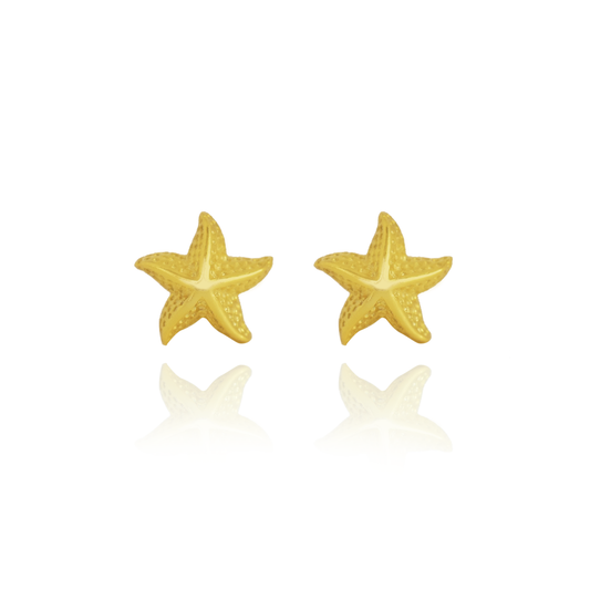 ARETES ESTRELLA DE MAR